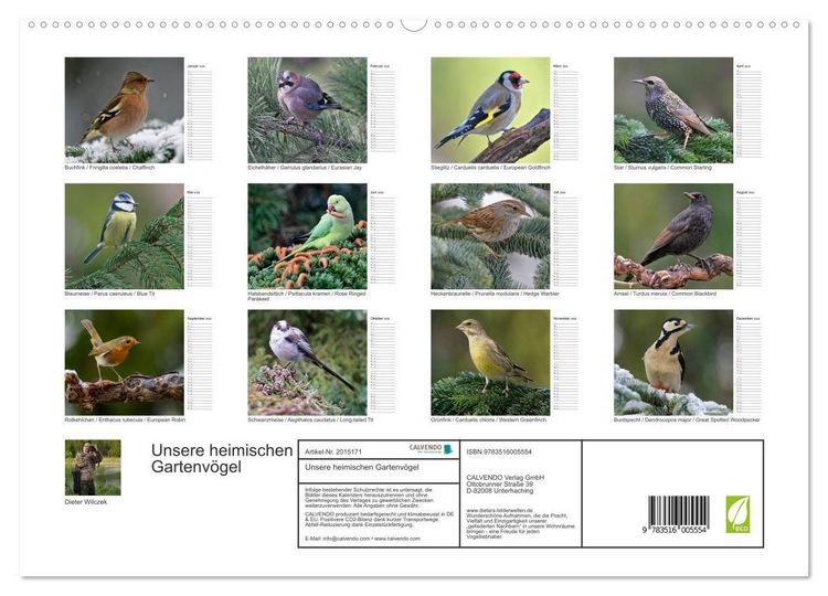 Produktbild: Unsere heimischen Gartenv&ouml;gel (hochwertiger Premium Wandkalender 2026 DIN A2 quer), Kunstdruck in Hochglanz