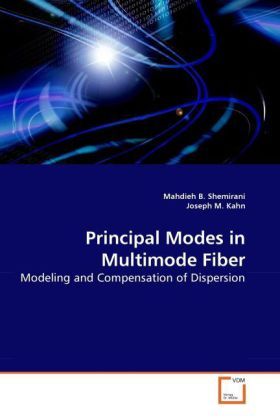 Produktbild: B. Shemirani, M: Principal Modes in Multimode Fiber
