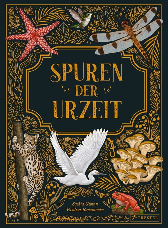 Produktbild: Spuren der Urzeit