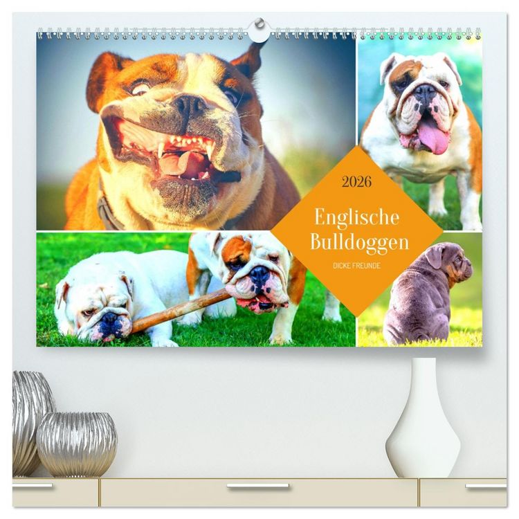 Produktbild: Dicke Freunde. Englische Bulldoggen (hochwertiger Premium Wandkalender 2026 DIN A2 quer), Kunstdruck in Hochglanz