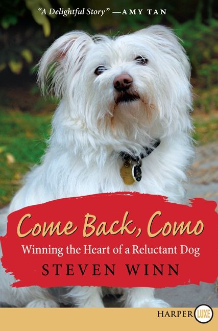 Produktbild: Come Back, Como: Winning The Heart Of A Reluctant Dog