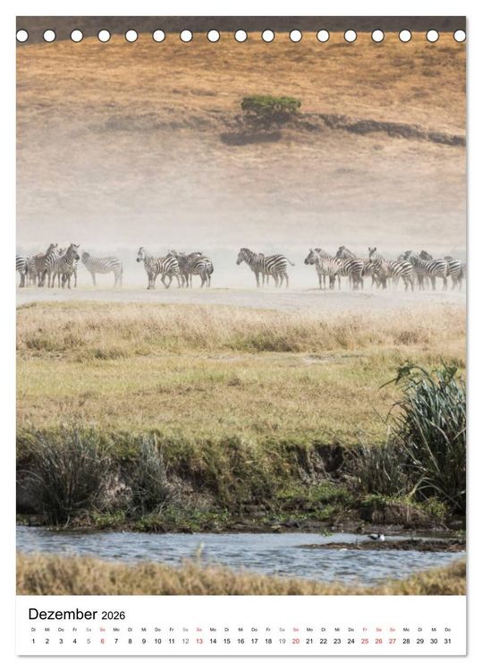 Produktbild: Serengeti Pur - Tansania (Tischkalender 2026 DIN A5 hoch), CALVENDO Monatskalender