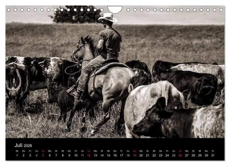 Produktbild: Westernreiten (Wandkalender 2026 DIN A4 quer), CALVENDO Monatskalender