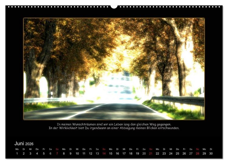 Produktbild: Freundschaft (Wandkalender 2026 DIN A2 quer), CALVENDO Monatskalender