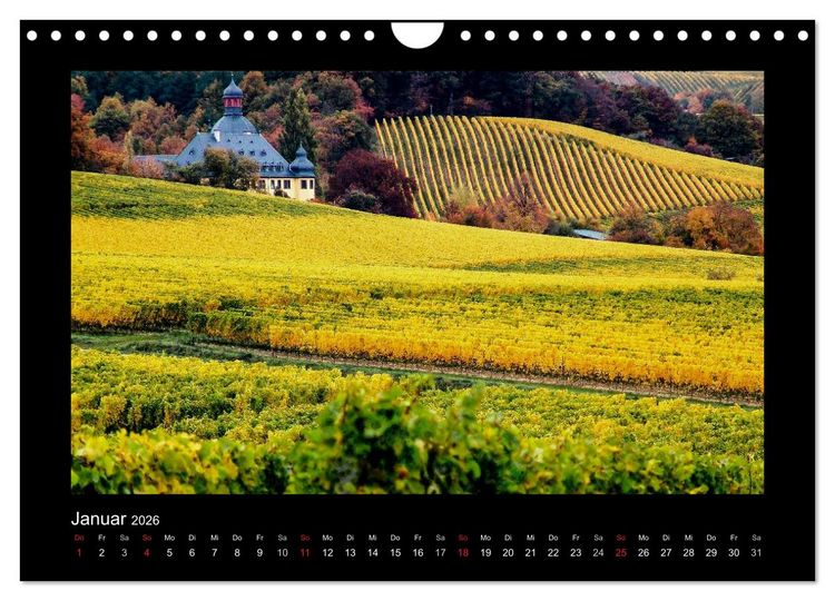Produktbild: Wein - Reben, Wingerte und historische Weinkeller (Wandkalender 2026 DIN A4 quer), CALVENDO Monatskalender