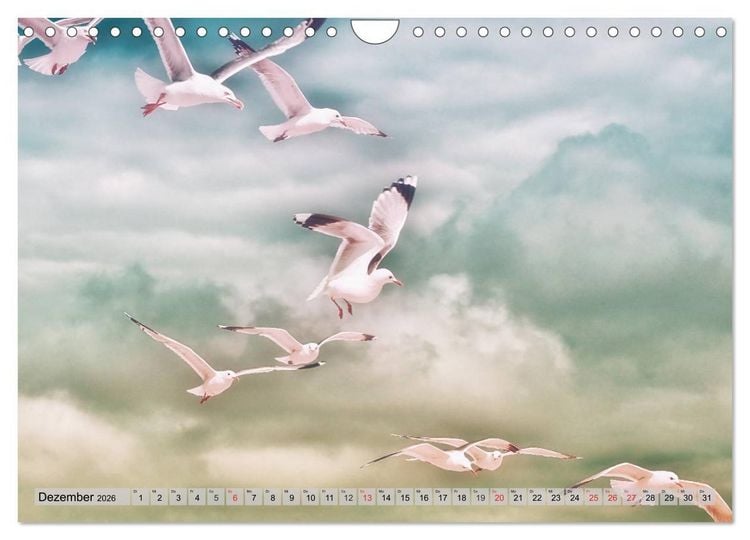 Produktbild: AMRUM Art (Wandkalender 2026 DIN A4 quer), CALVENDO Monatskalender