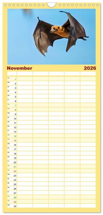 Produktbild: Familienplaner 2026 - Flughunde - Meister der Nacht mit 5 Spalten (Wandkalender, 21 x 45 cm) CALVENDO