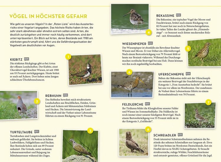 Produktbild: Lieblingsv&ouml;gel