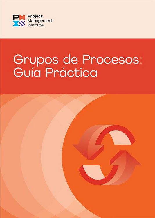Produktbild: Process Groups: A Practice Guide (SPANISH)