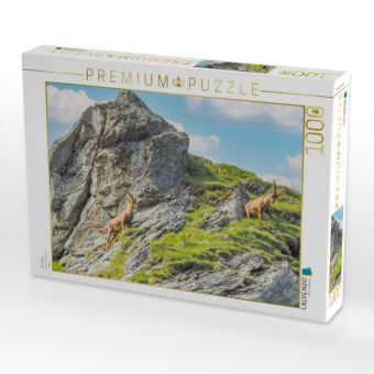 Produktbild: CALVENDO Puzzle Steinb&ouml;cke | 1000 Teile Lege-Gr&ouml;&szlig;e 64x48cm Foto-Puzzle f&uuml;r gl&uuml;ckliche Stunden