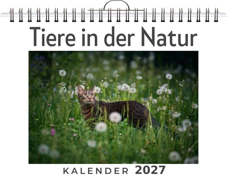 Produktbild: Tiere in der Natur