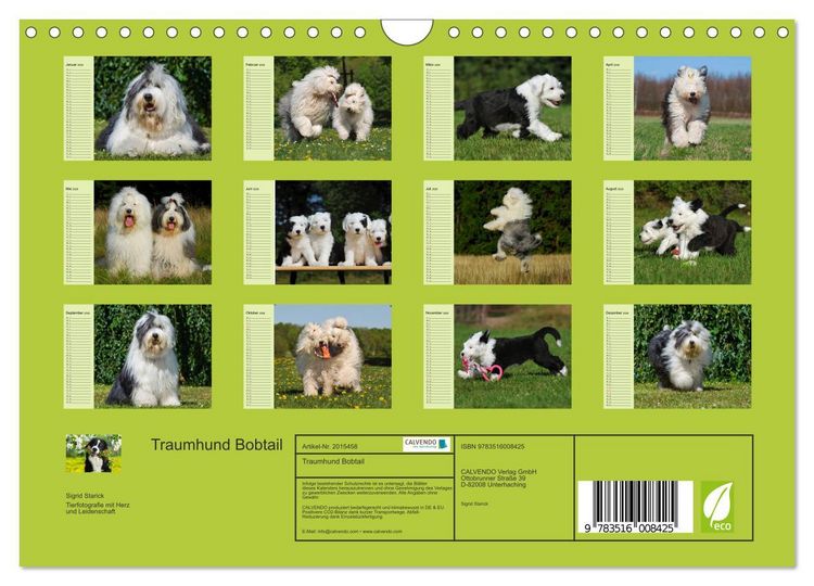 Produktbild: Traumhund Bobtail (Wandkalender 2026 DIN A4 quer), CALVENDO Monatskalender