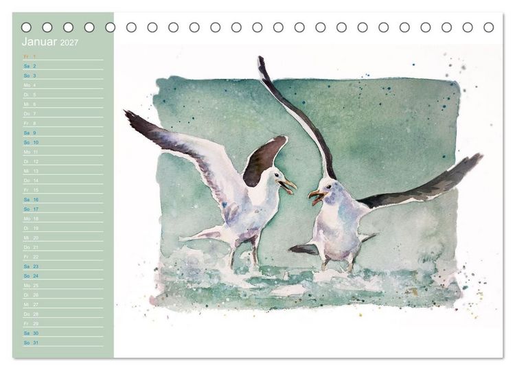 Produktbild: M&ouml;wen - Aquarelle von Julia Pasinski (Tischkalender 2027 DIN A5 quer), CALVENDO Monatskalender