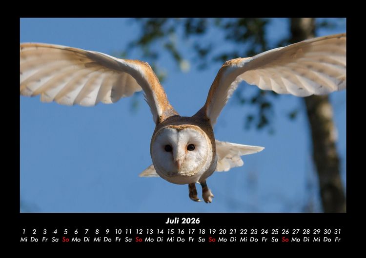 Produktbild: Welt der V&ouml;gel 2026 Fotokalender DIN A3