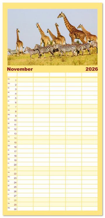 Produktbild: Familienplaner 2026 - Zebras - Die gestreiften Vierbeiner. mit 5 Spalten (Wandkalender, 21 x 45 cm) CALVENDO
