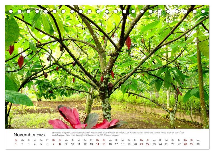 Produktbild: JAVA Natur pur (Tischkalender 2026 DIN A5 quer), CALVENDO Monatskalender
