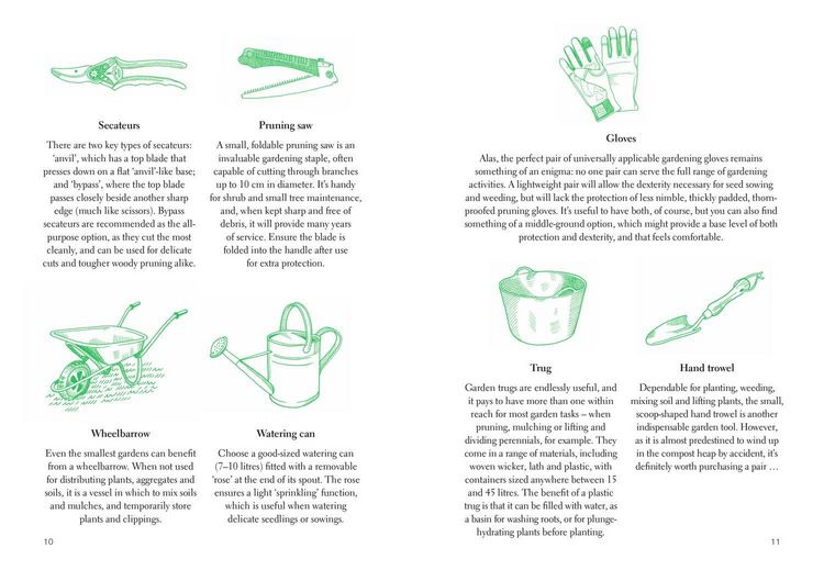 Produktbild: Fifty Things to Do in the Garden