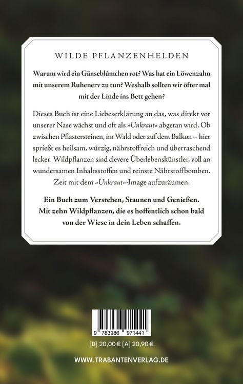 Produktbild: Wilde Helden