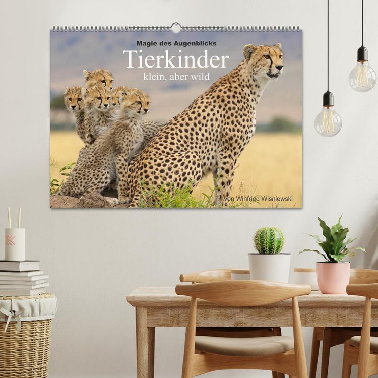 Produktbild: Magie des Augenblicks - Tierkinder - klein, aber wild (Wandkalender 2026 DIN A2 quer), CALVENDO Monatskalender