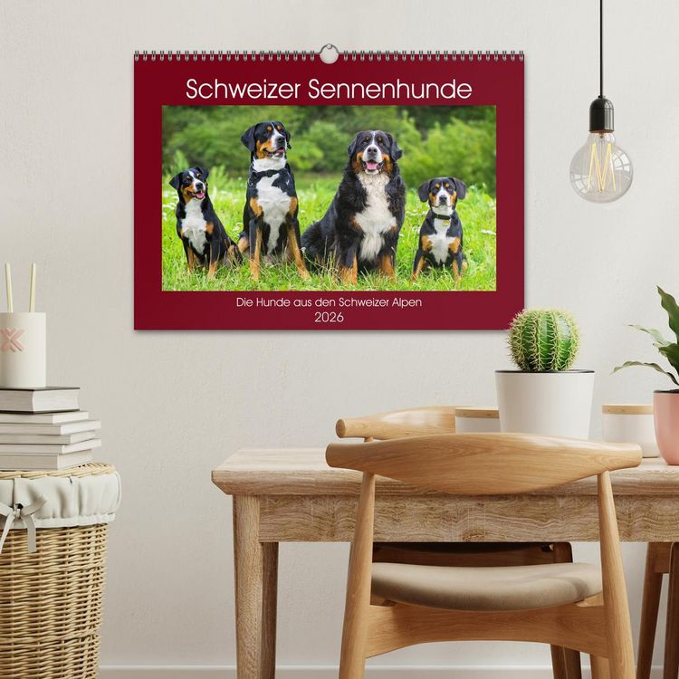 Produktbild: Schweizer Sennenhunde - die Hunde aus den Schweizer Alpen (Wandkalender 2026 DIN A3 quer), CALVENDO Monatskalender