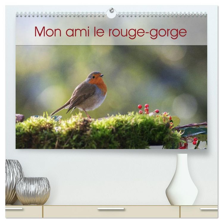 Produktbild: Mon ami le rouge-gorge (Calendrier mural 2026 DIN A2 vertical) calendrier de bureau