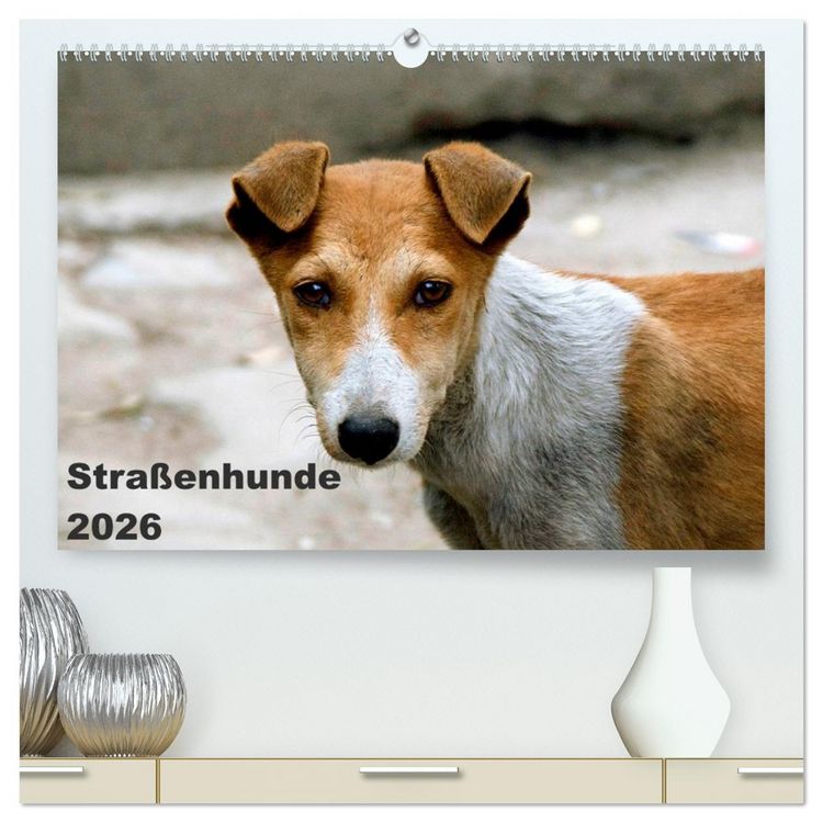 Produktbild: Stra&szlig;enhunde (hochwertiger Premium Wandkalender 2026 DIN A2 quer), Kunstdruck in Hochglanz