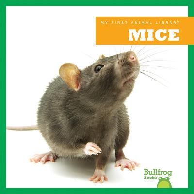 Produktbild: Mice