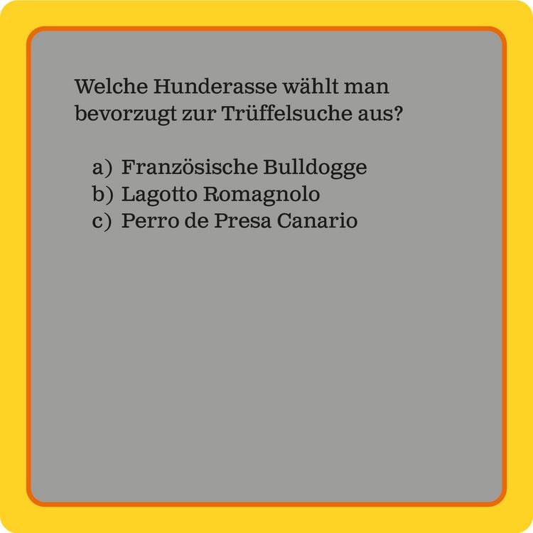Produktbild: Das Hunde-Quiz (Neuauflage)