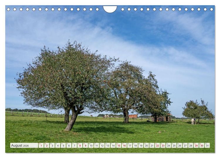 Produktbild: Romantisches Wegberg (Wandkalender 2026 DIN A4 quer), CALVENDO Monatskalender
