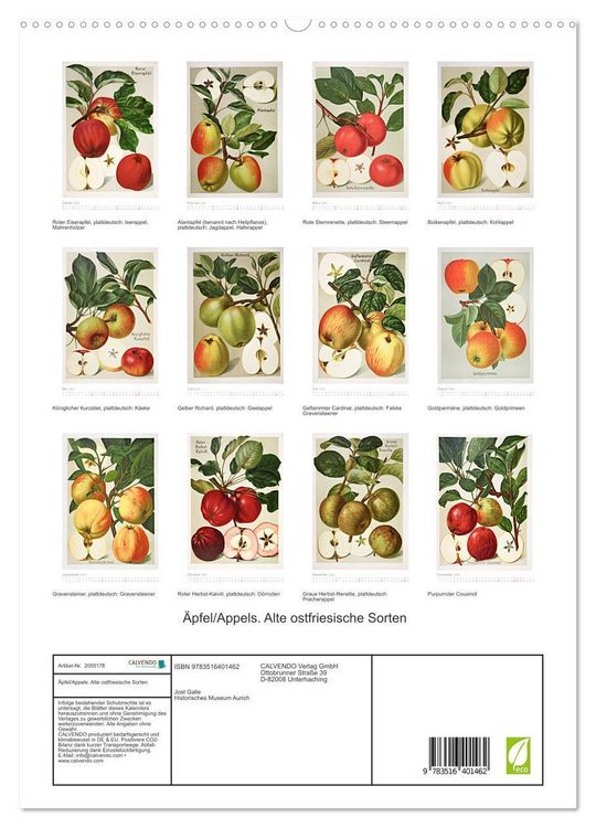 Produktbild: &Auml;pfel/Appels. Alte ostfriesische Sorten (hochwertiger Premium Wandkalender 2026 DIN A2 hoch), Kunstdruck in Hochglanz