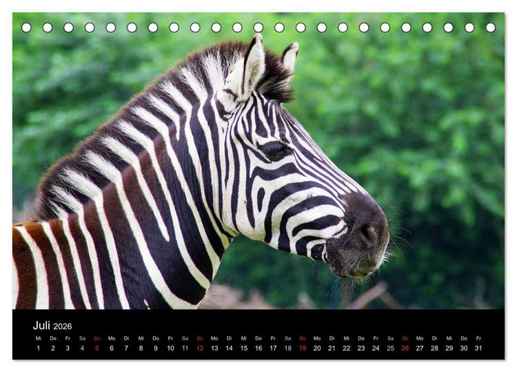 Produktbild: Welt der Tiere (Tischkalender 2026 DIN A5 quer), CALVENDO Monatskalender