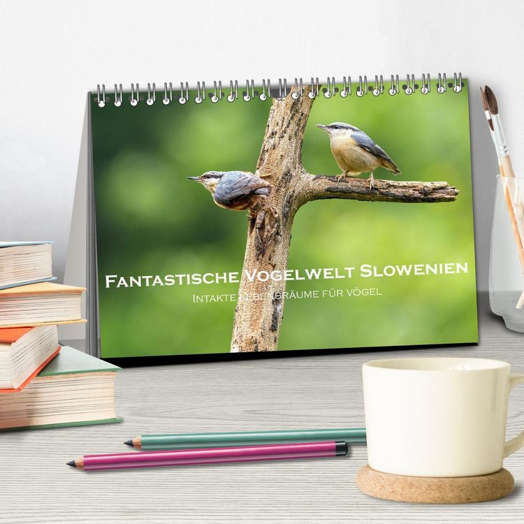Produktbild: Fantastische Vogelwelt Slowenien (Tischkalender 2026 DIN A5 quer), CALVENDO Monatskalender
