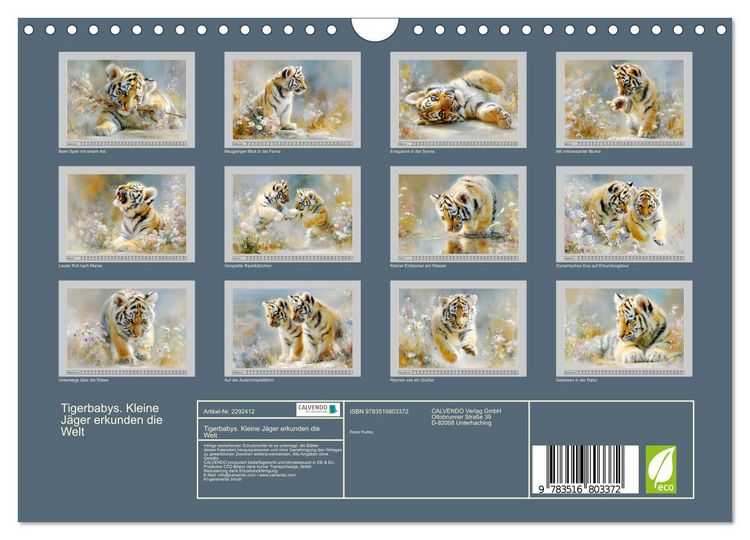 Produktbild: Tigerbabys. Kleine J&auml;ger erkunden die Welt (Wandkalender 2027 DIN A4 quer), CALVENDO Monatskalender