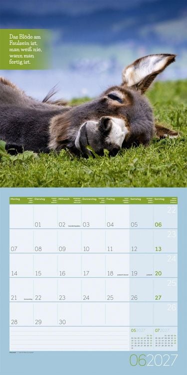 Produktbild: Keep Smiling Kalender 2027 - 30x30 - Art12
