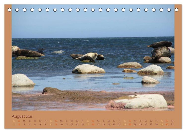 Produktbild: S&uuml;dschweden (Tischkalender 2026 DIN A5 quer), CALVENDO Monatskalender