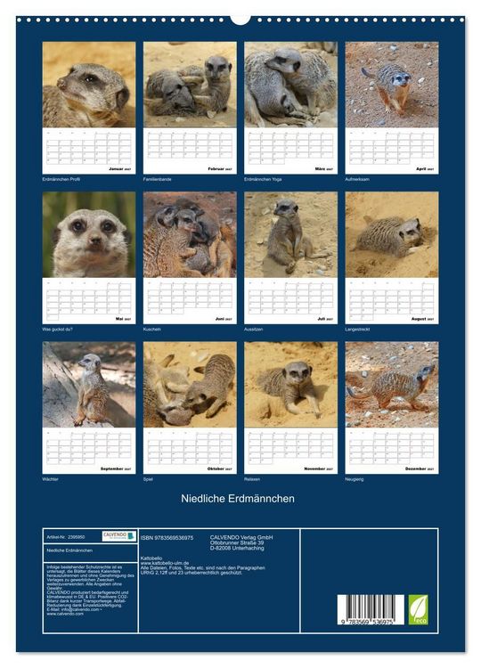 Produktbild: Niedliche Erdm&auml;nnchen (Wandkalender 2027 DIN A2 hoch), CALVENDO Monatskalender