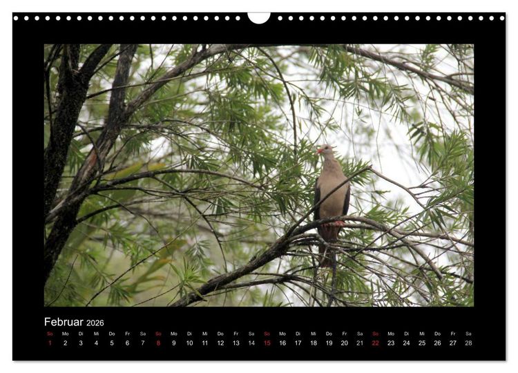 Produktbild: Mauritius - traumhaft und unvergesslich (Wandkalender 2026 DIN A3 quer), CALVENDO Monatskalender