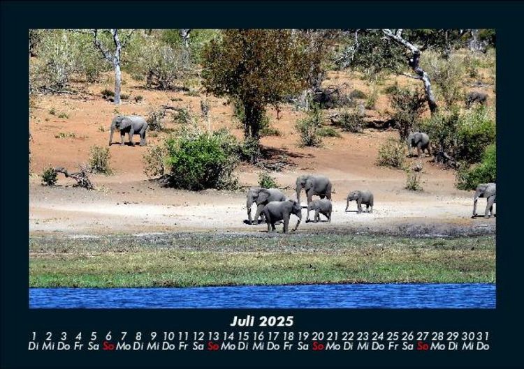 Produktbild: Der Elefantenkalender 2025 Fotokalender DIN A5