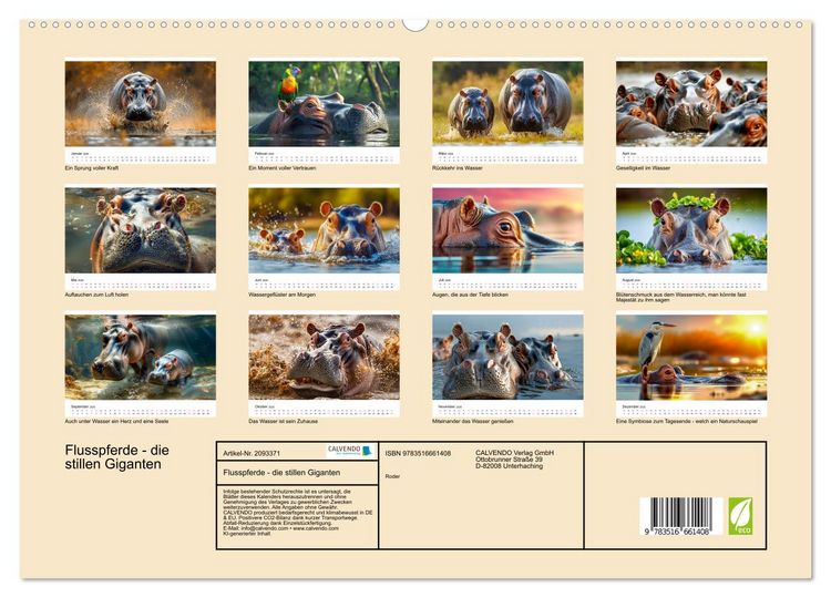 Produktbild: Flusspferde - die stillen Giganten (hochwertiger Premium Wandkalender 2026 DIN A2 quer), Kunstdruck in Hochglanz