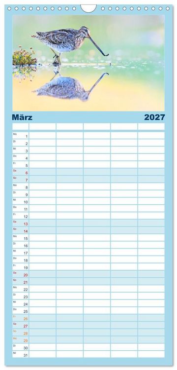 Produktbild: Familienplaner 2027 - Limikolen - Watv&ouml;gel aus Europa mit 5 Spalten (Wandkalender, 21 x 45 cm) CALVENDO