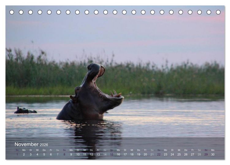Produktbild: Botswana Wildlife (Tischkalender 2026 DIN A5 quer), CALVENDO Monatskalender