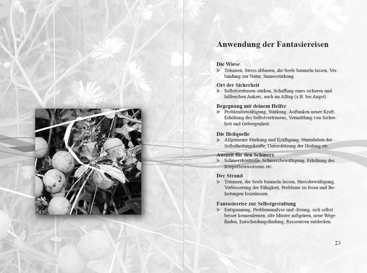 Produktbild: Fantasiereisen