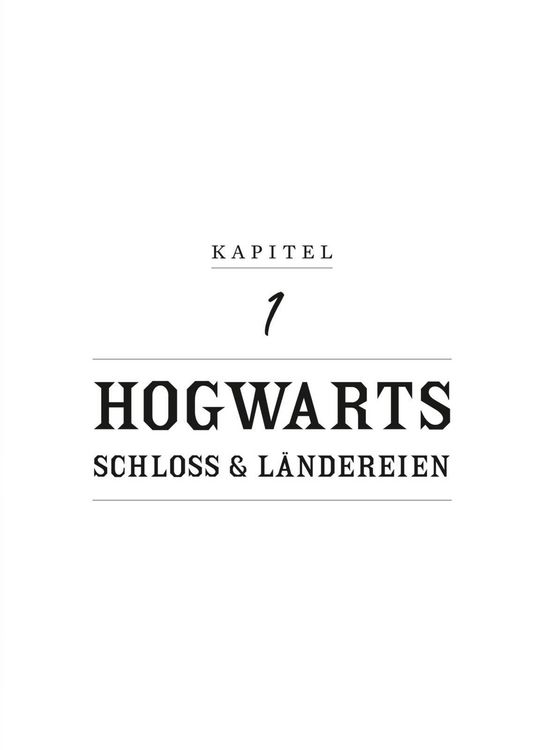 Produktbild: Aus den Filmen von Harry Potter und Phantastische Tierwesen: WHO IS WHO - Die magischen Wesen der Zaubererwelt