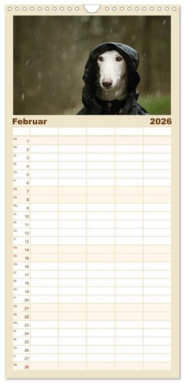 Produktbild: Familienplaner 2026 - Zauberhafte Windhunde mit 5 Spalten (Wandkalender, 21 x 45 cm) CALVENDO