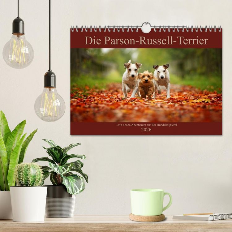Produktbild: Die Parson-Russell-Terrier ...mit neuen Abenteuern aus der Hundeknipserei (Wandkalender 2026 DIN A4 quer), CALVENDO Monatskalender