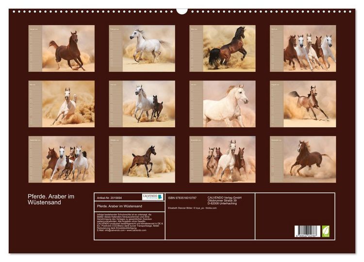 Produktbild: Pferde. Araber im W&uuml;stensand (Wandkalender 2026 DIN A2 quer), CALVENDO Monatskalender