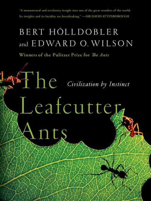 Produktbild: The Leafcutter Ants