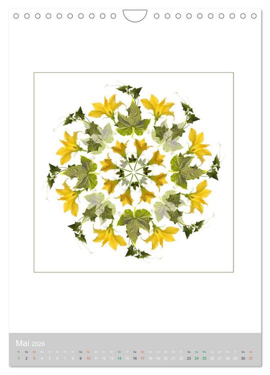 Produktbild: Pflanzen - Mandalas aus Bl&uuml;ten und Bl&auml;ttern (Wandkalender 2026 DIN A4 hoch), CALVENDO Monatskalender