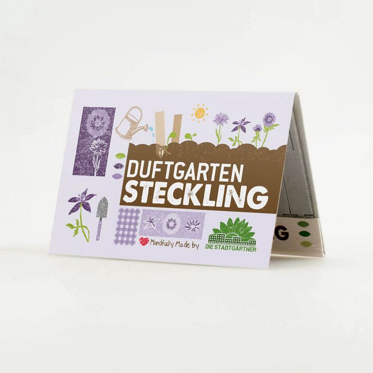 Steckling Duftgarten