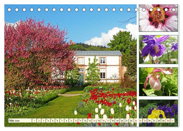 Produktbild: Im Hermannshof - Ein Traumgarten in Weinheim (Tischkalender 2026 DIN A5 quer), CALVENDO Monatskalender